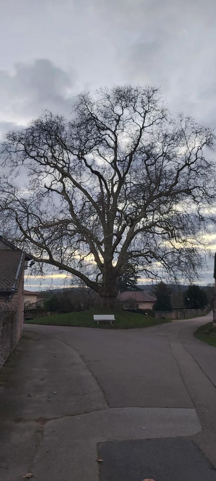 Le Gite Et Puits C'Est Tout Préty Chambre photo